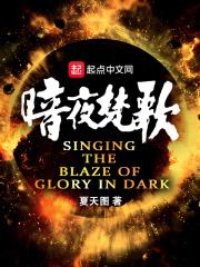 暗夜歌词