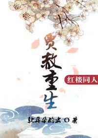 红楼贾赦衍生 红楼贾赦衍生