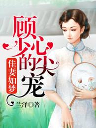 佳妻如梦少帅深深爱