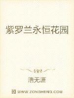 紫罗兰永恒花园中配版