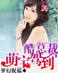 萌宝驾到总裁爹地霸道宠