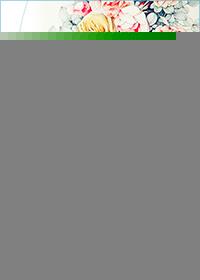 我的男友是大鸟免费阅读