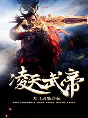 凌天武帝笔趣阁无弹窗