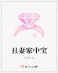 丑妻家中宝上一句 丑妻家中宝上一句