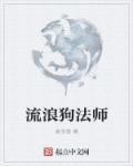 流浪法师全名