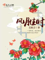 风月佳时逢故人全诗意思