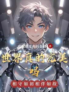 世界上有完美的事吗?