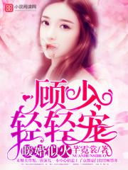 暖婚似火顾少轻轻全文免费