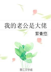 我的老公是大佬33章