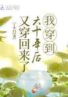 我穿到60年又穿回来 我穿到60年又穿回来