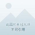 LOL:战队1胜8负让我首发了 LOL:战队1胜8负让我首发了
